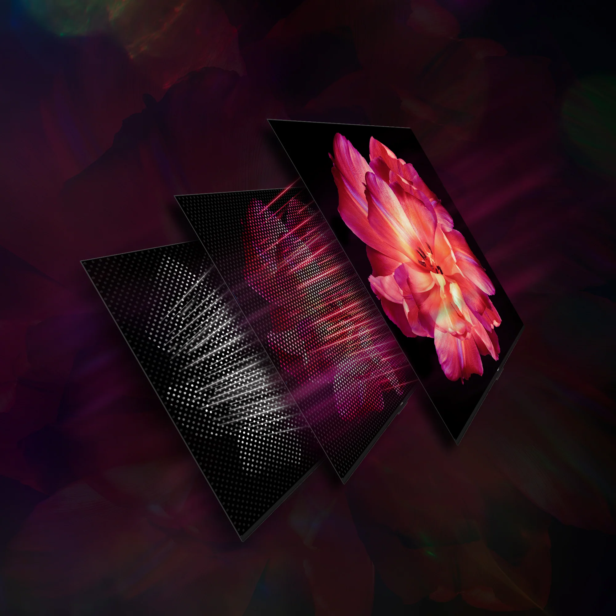 Google TV MiniLED - Image 96