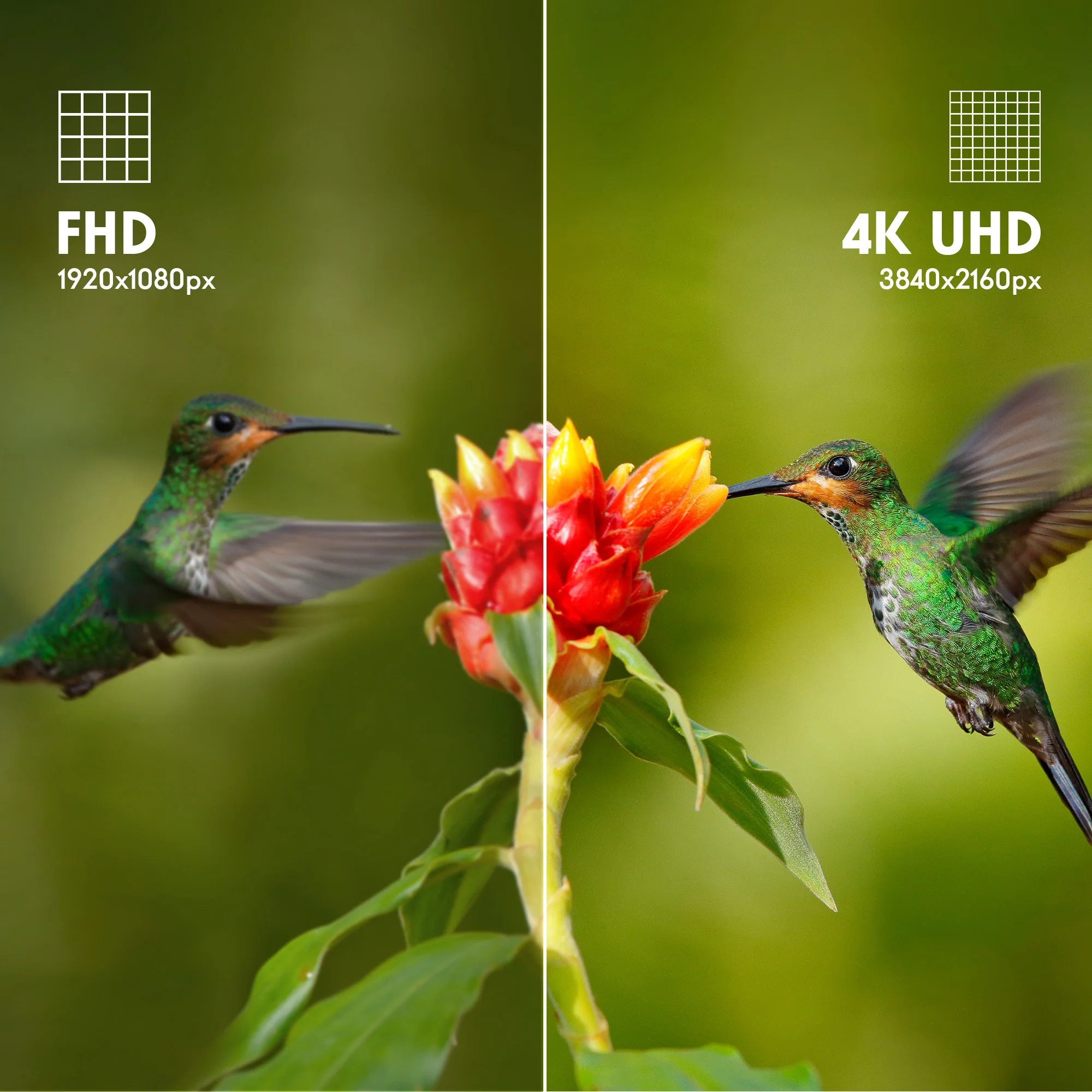 Google TV UHD - Image 33